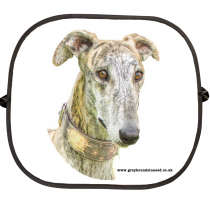Car Sunshade Pack 2